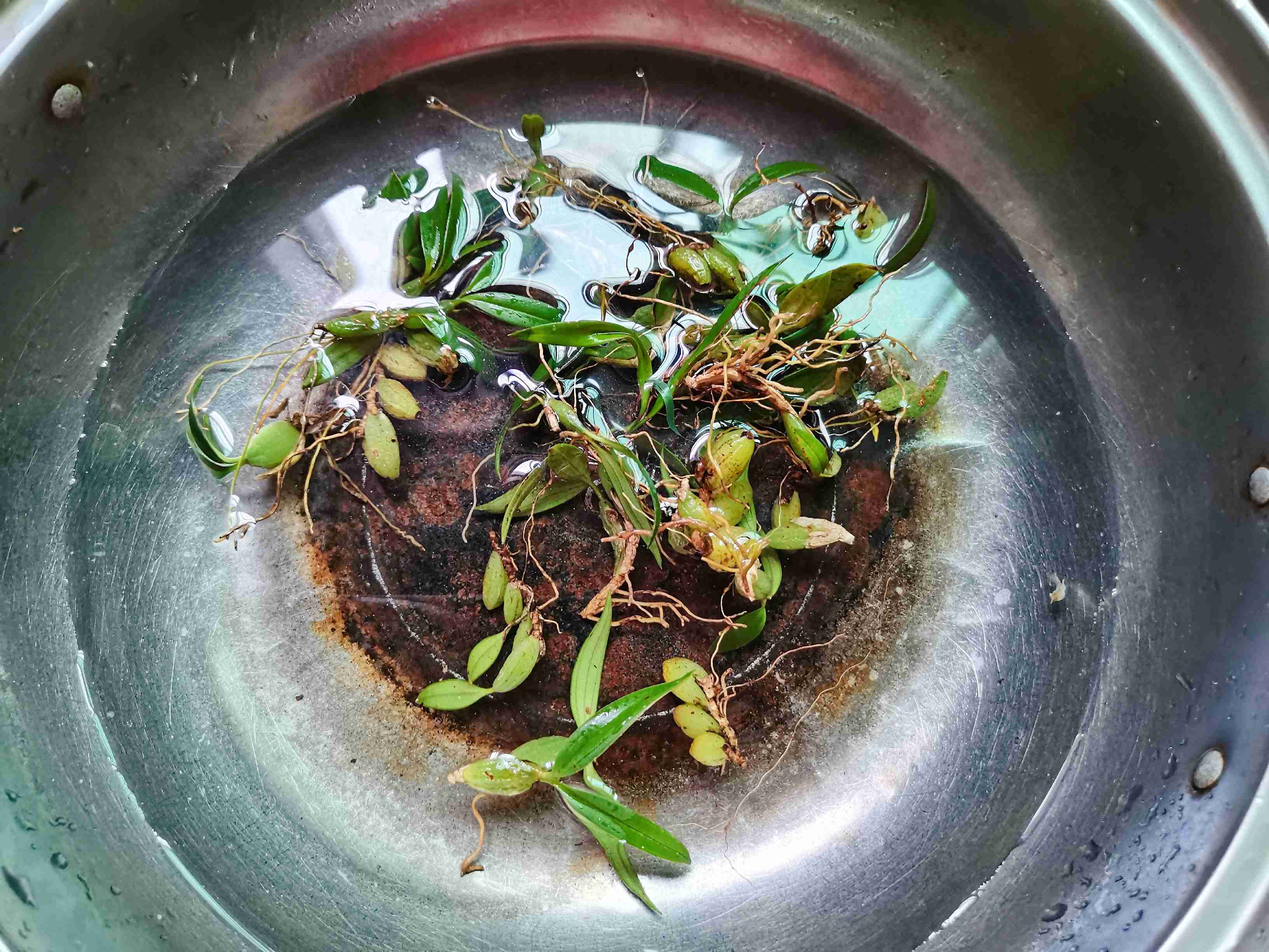 石橄欖燉肉的做法-家常味燉菜譜-易網(wǎng)健康養(yǎng)生網(wǎng) 石橄欖燉肉的做法-家常味燉菜譜