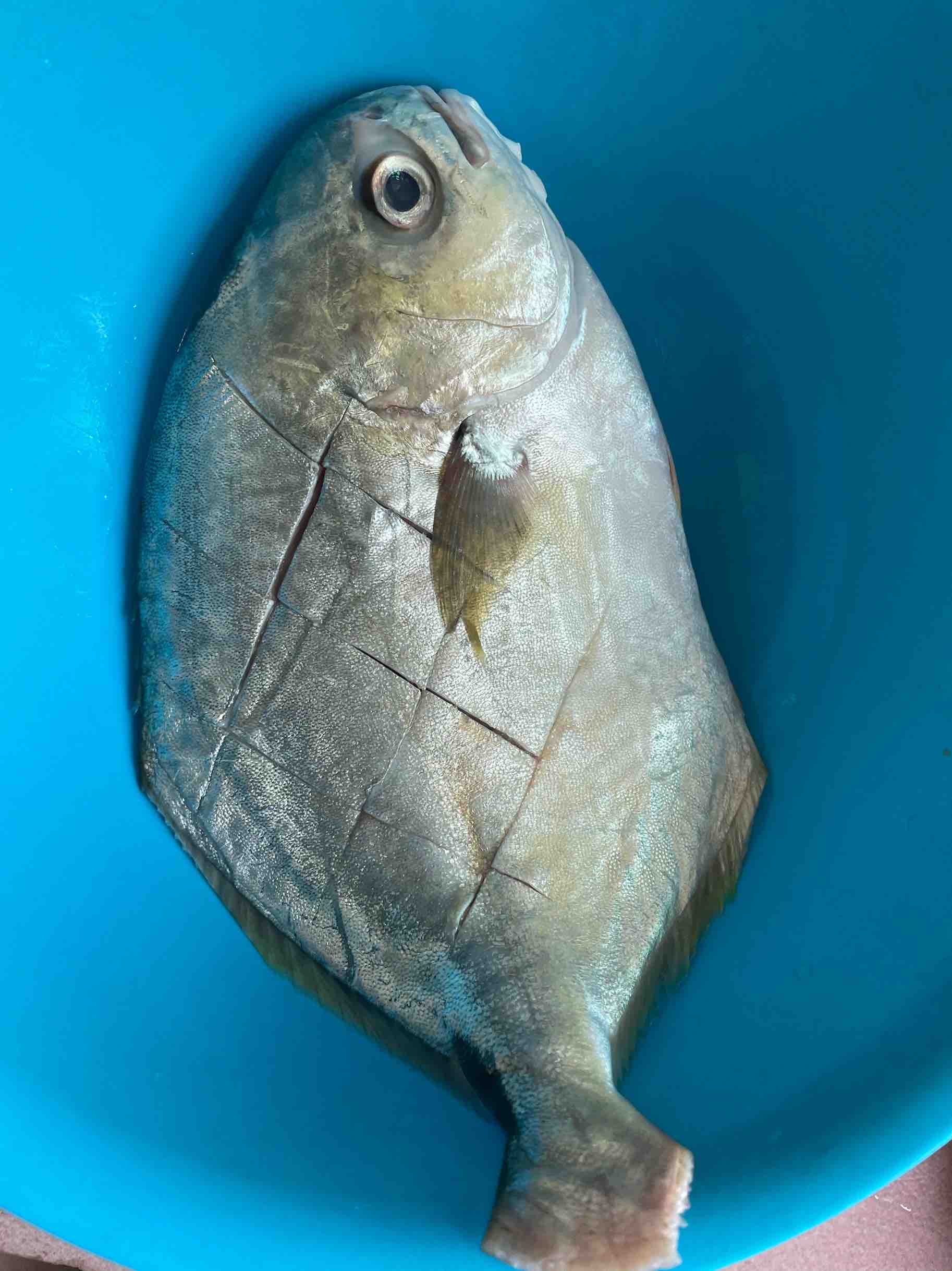 紅燒魚的做法-咸鮮味燒菜譜