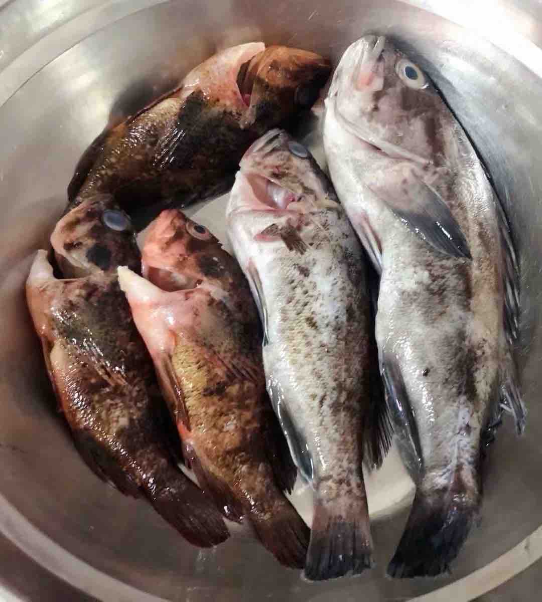 黑魚豆腐湯的做法-家常味煮菜譜-易網<a href=http://m.logojc.com/ target=_blank class=infotextkey>健康養生</a>網 黑魚豆腐湯的做法-家常味煮菜譜