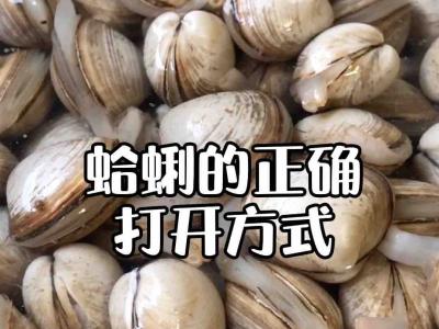 蛤蜊的正確清洗方法的做法-咸鮮味煮菜譜