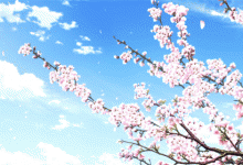 春花爛漫 為何面部皮膚會紅腫、瘙癢？