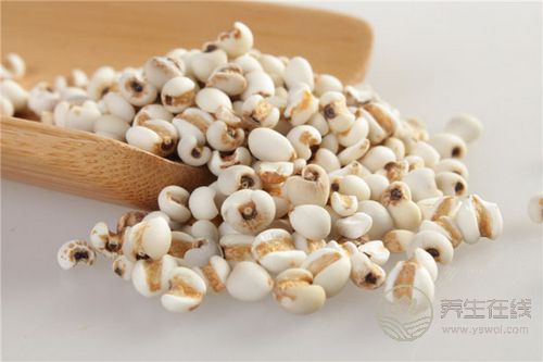 春季最適合排毒 排毒飲食你選什么