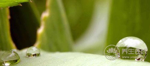 春夏交替，養(yǎng)生飲食需要注意什么？