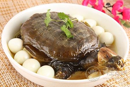 清燉甲魚湯的做法 讓身體溫暖整個冬天 清燉甲魚湯的做法 讓身體溫暖整個冬天