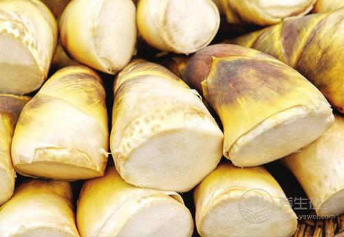 春季養生哪家強，蔬菜水果來幫忙