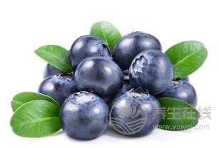 夏季養生吃什么好?