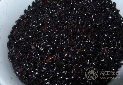 冬天健康飲食，少不了這些食物，一定有你喜歡吃的