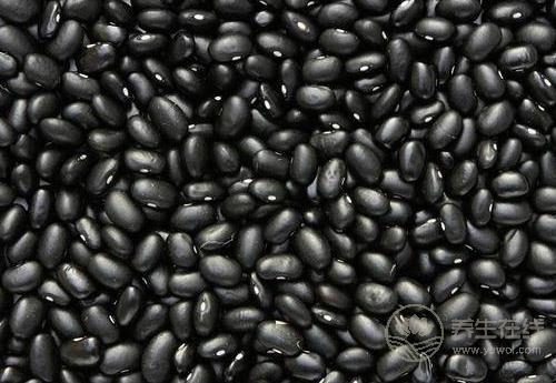 這幾種食物很養生，秋季，女人可常吃