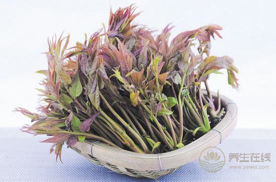 春季養生哪家強，蔬菜水果來幫忙