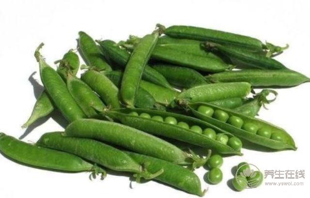 初夏養生吃什么?美食小編告訴您… 初夏養生吃什么?美食小編告訴您…