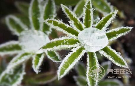 霜降時(shí)節(jié)哪些疾病易復(fù)發(fā)？