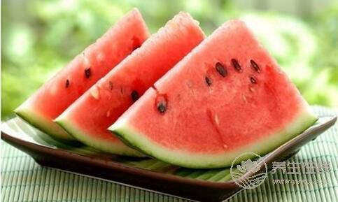 如何挑選西瓜？挑選西瓜的小技巧