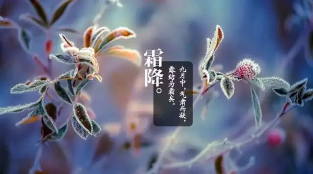 今日霜降，周末冷空氣開始下降，這些養生保健常識不可不知