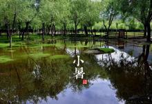 2018小暑時間_小暑是什么時候_吃什么養生_小暑習俗