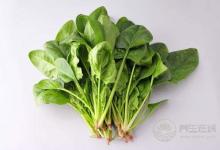 春季養生的注意事項，這些你都做了嗎？