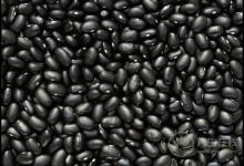 秋季掉發多，常吃這些食物，對你的頭發有幫助