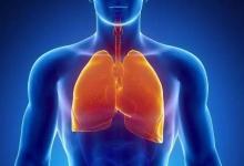 夏天是“養肺黃金期”，做到這4招，一年不得肺病！