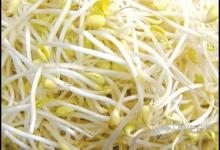 春天多吃這4種蔬菜，好吃更健康