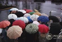 夏天多雨濕氣重怎么辦？教你快速祛濕法