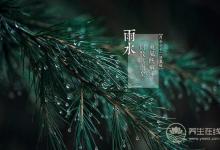 雨水——好雨知時節, 當春乃生發