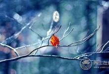 立冬養(yǎng)生要注意什么?立冬養(yǎng)生六大注意事項