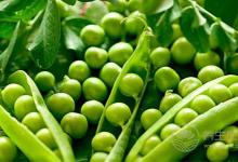 “仲夏，養生良機”之肉補篇