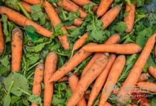 春季吃什么食物可以養肝?