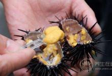 給你1份詳細的“海鮮年歷”，讓你吃到最時令的海鮮