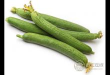 夏季保濕敗火，中醫(yī)教你絲瓜怎么吃