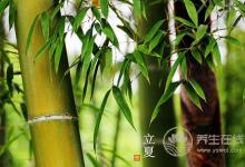 清明易生肝火 宜多食新鮮蔬菜