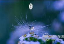 清明養(yǎng)生需注意“六不”，您做對了嗎？