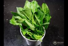 春天適合吃菠菜 別和這些一起吃