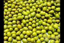 夏季養(yǎng)生，你不能錯過這6種“養(yǎng)生豆”！