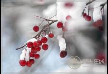 小雪節氣要注意預防四種常見病