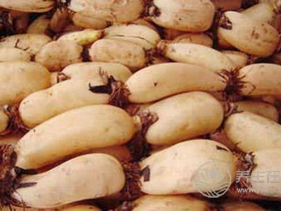 秋天養(yǎng)生要多吃蓮藕