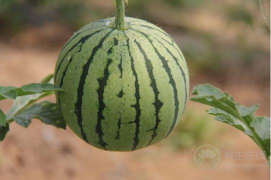芒種節氣養生: 飲食宜清補 宜吃八寶-易網健康養生網 芒種節氣養生: 飲食宜清補 宜吃八寶