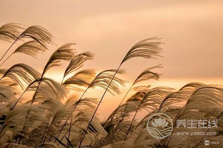 立秋養生禁忌有哪些?立秋吃什么不能吃什么?