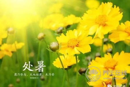 2019年處暑是幾月幾日?處暑的由來(lái)是什么?-易網(wǎng)健康<a href=http://m.logojc.com/jkys/ target=_blank class=infotextkey>養(yǎng)生</a>網(wǎng) 2019年處暑是幾月幾日?處暑的由來(lái)是什么?