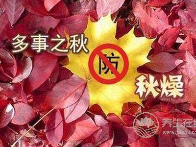 處暑如何防秋燥?處暑防秋燥食物有哪些?