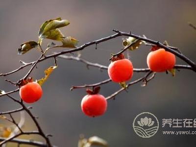 秋分吃什么水果?秋分養(yǎng)生的食療方有哪些?