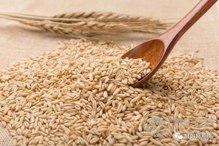 秋季祛濕吃什么?濕氣重的癥狀有哪些?-易網健康<a href=http://m.logojc.com/jkys/ target=_blank class=infotextkey>養生</a>網 秋季祛濕吃什么?濕氣重的癥狀有哪些?