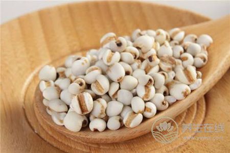 秋季養(yǎng)生吃什么粗糧呢?秋季養(yǎng)生食譜有哪些?-易網(wǎng)<a href=http://m.logojc.com/ target=_blank class=infotextkey>健康養(yǎng)生</a>網(wǎng) 秋季養(yǎng)生吃什么粗糧呢?秋季養(yǎng)生食譜有哪些?