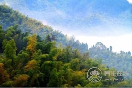 寒露節(jié)氣預(yù)防哪些疾病?寒露節(jié)氣預(yù)防疾病方法是什么?