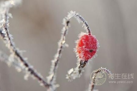 霜降要預防哪些疾病?霜降預防皮膚疾病方法是什么?