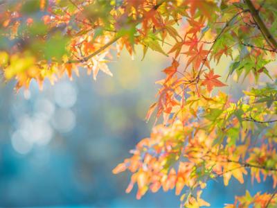 秋天怎么選擇護膚品?護膚品的使用順序