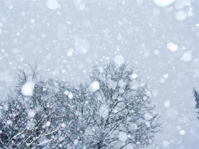 三九天吃什么可以養生？三九天養生好處竟然這么大