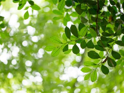 春天總是犯困怎么辦？這些方法幫你解決困擾