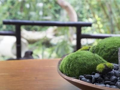 春天吃哪些水果好？春季養(yǎng)生要吃水果