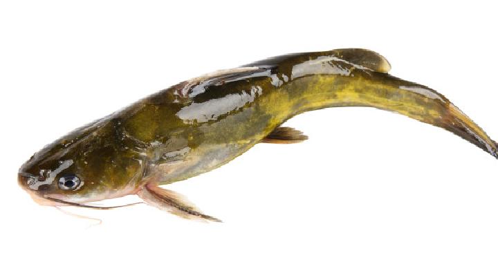 秋天進補禁忌有哪些 秋季進補注意四大禁忌-易網健康<a href=http://m.logojc.com/jkys/ target=_blank class=infotextkey>養生</a>網 秋天進補禁忌有哪些 秋季進補注意四大禁忌