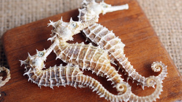 女人冬季進補有禁忌 冬季感冒千萬別進補-易網健康<a href=http://m.logojc.com/jkys/ target=_blank class=infotextkey>養生</a>網 女人冬季進補有禁忌 冬季感冒千萬別進補